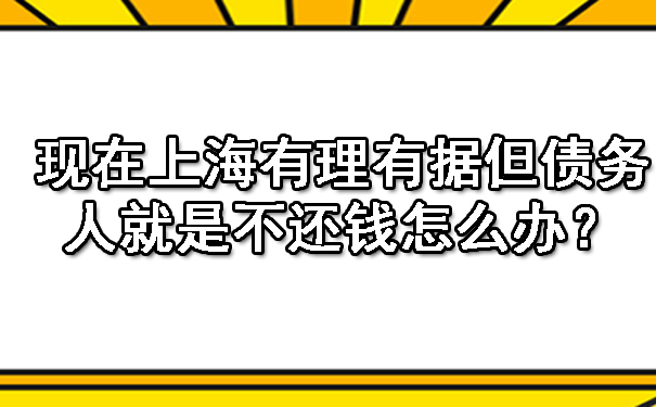 现在上海有理有据但债务人就是不还钱怎么办？