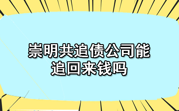 崇明共追债公司能追回来钱吗