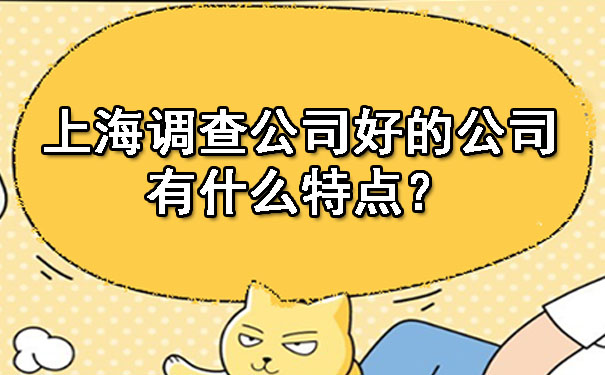 上海调查公司好的公司有什么特点？.jpg