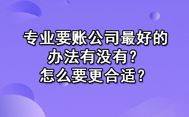 专业要账公司更好的办法有没有？怎么要更合适？