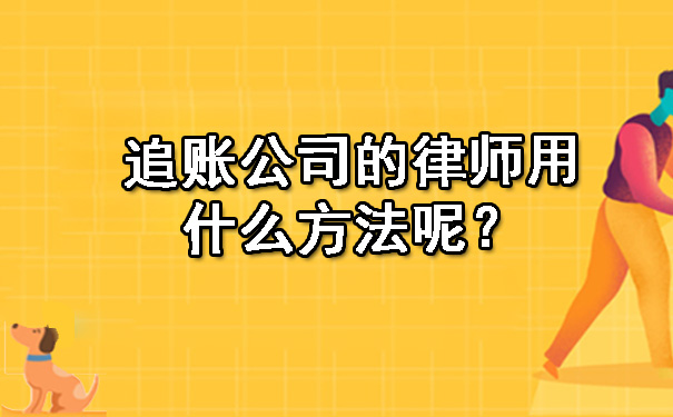 辽宁追账公司的律师用什么方法呢？