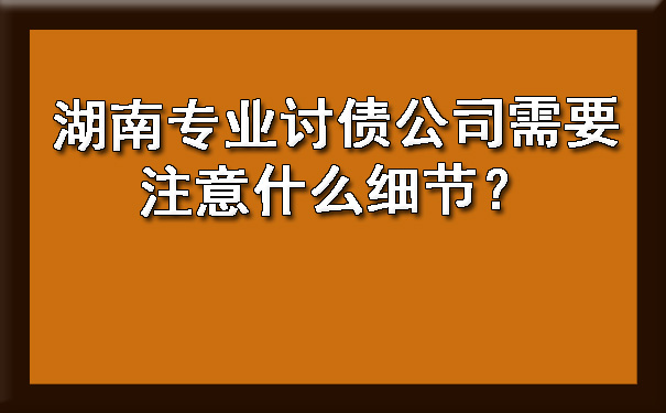 杭州湖南专业讨债公司需要注意什么细节？