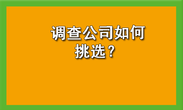 调查公司如何挑选？