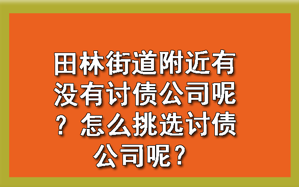 田林街道附近有没有讨债公司呢？怎么挑选讨债公司呢？