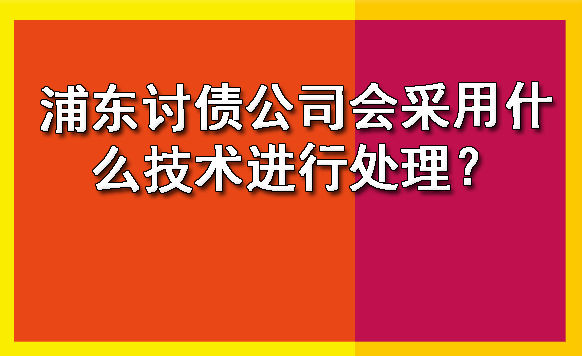 浦东讨债公司会采用什么技术进行处理？